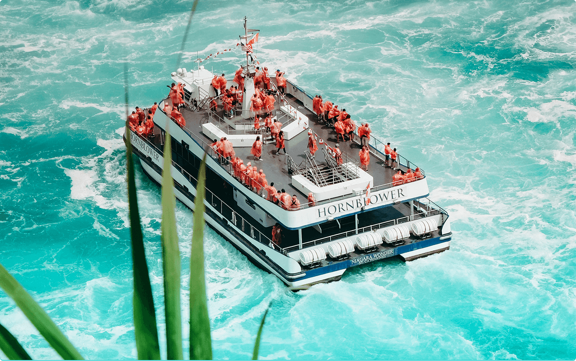 Expedition cruises
